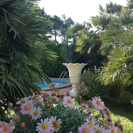Maremonti Hotel 4*