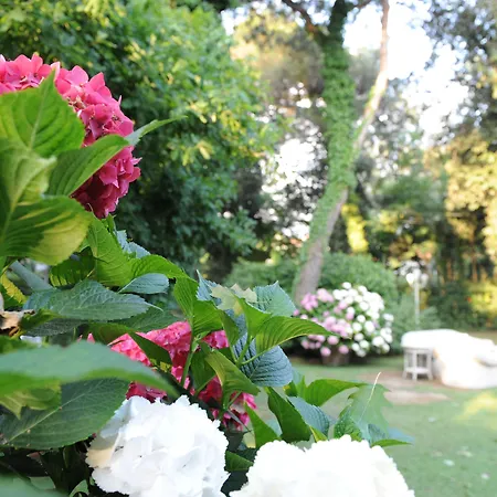 Hotel Maremonti 4*